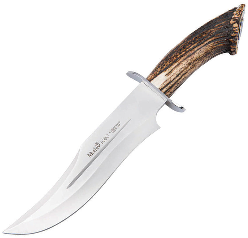 Lobo Bowie Stag 02MU045