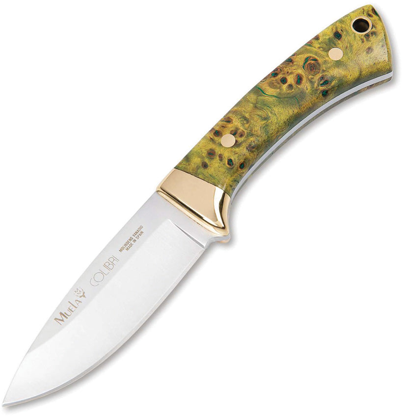 Colibri Fixed Blade Maple 02MU199