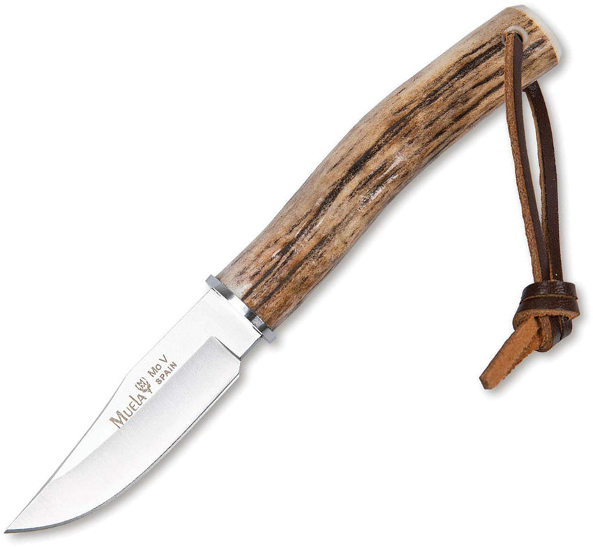 BW-6A Fixed Blade Stag 02MU221
