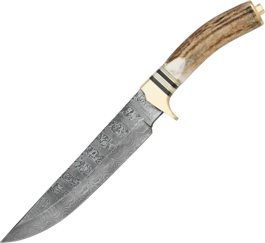 Bowie DM-1006