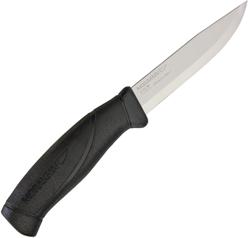 Companion Black 202266