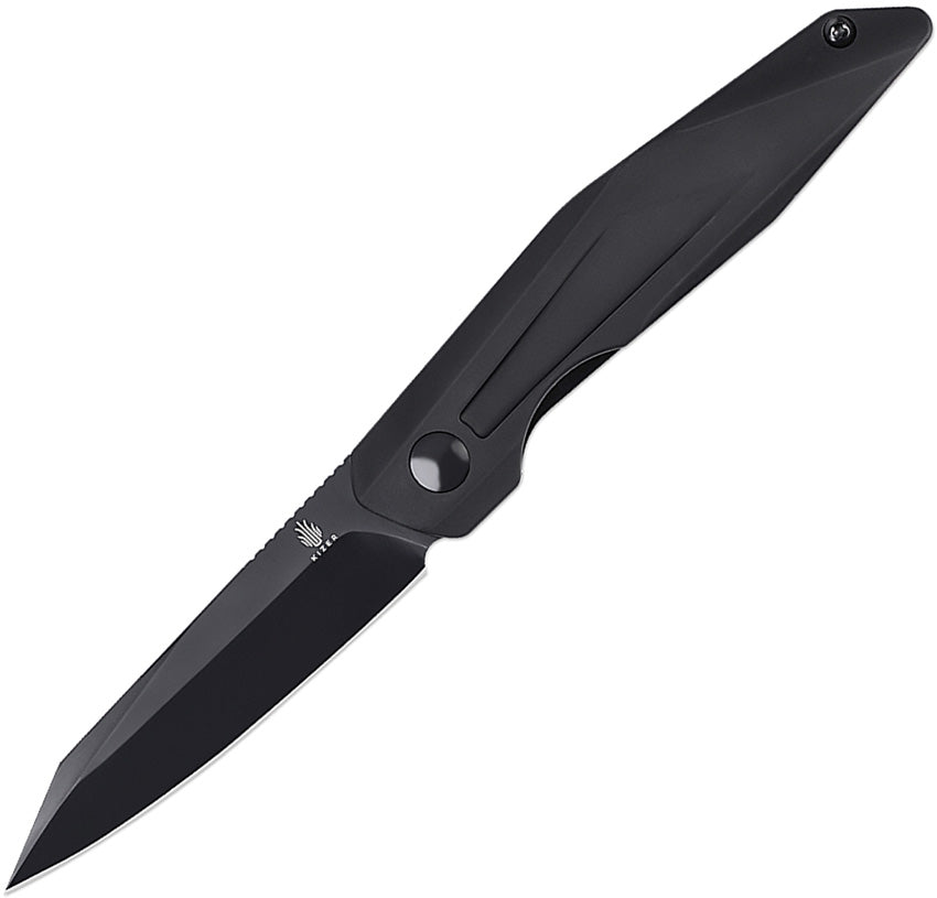 Spot Linerlock Black V3620C2