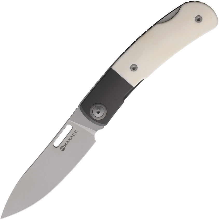 Beetle 2 Lockback Bone MM36-1-A