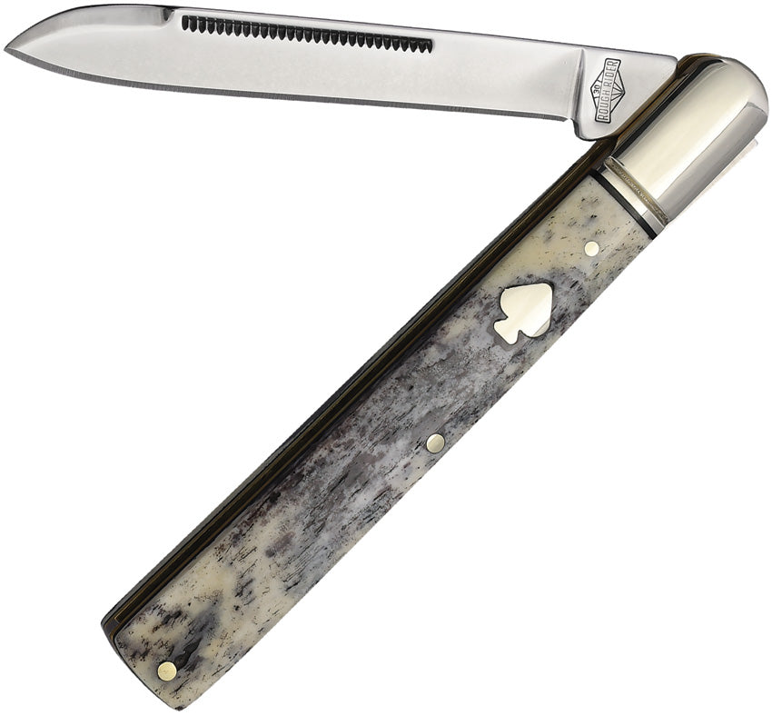 Black Appaloosa Doctor RR2484 KB164