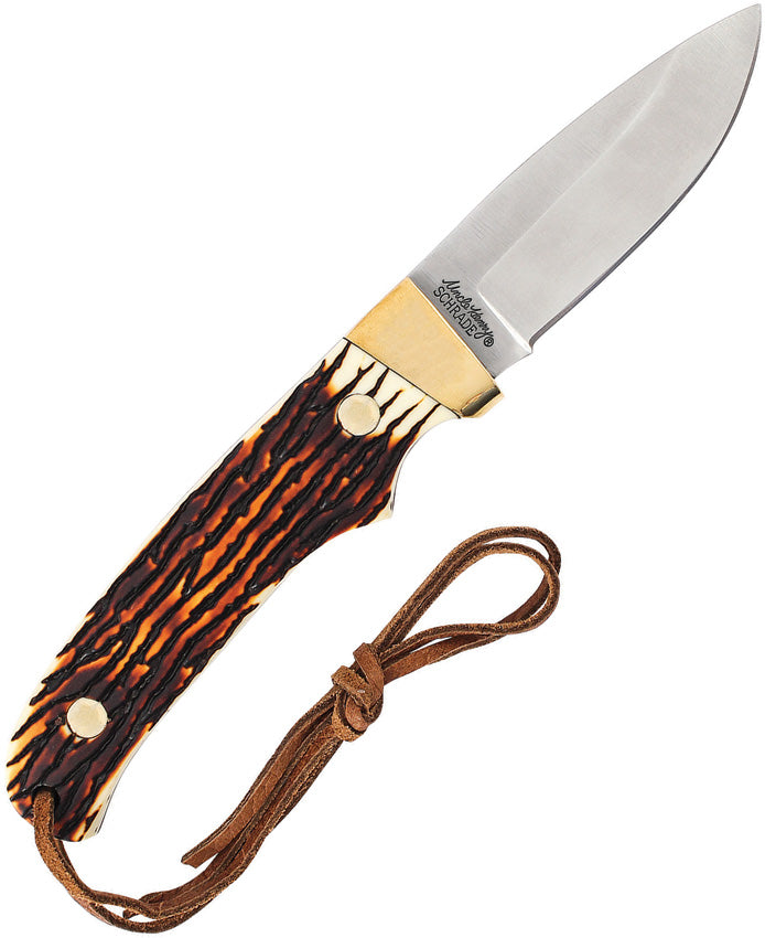 Pro Hunter Mini