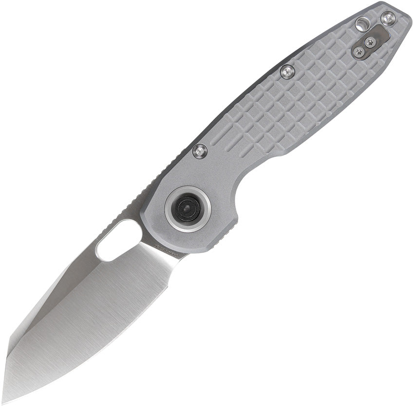 Ankylo Vanchor Lock Gray