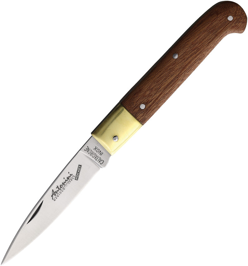 Medium Folder