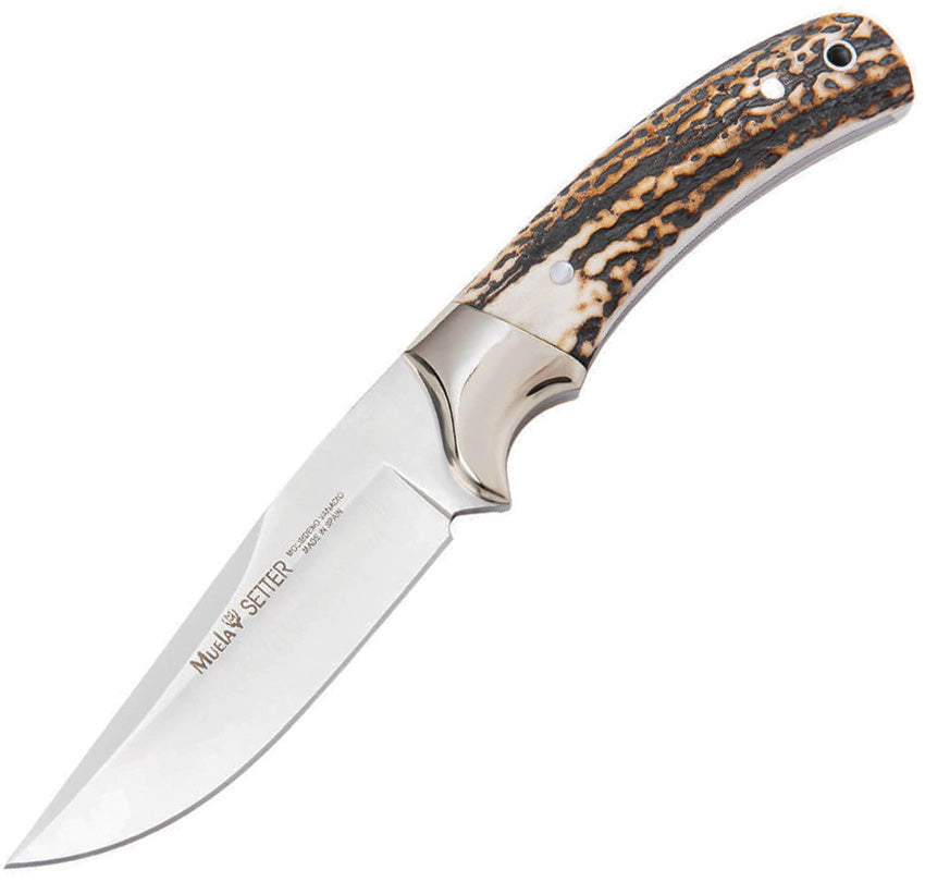 Setter-11A Fixed Blade Stag 02MU043
