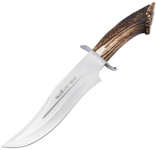 Lobo Bowie Stag 02MU045