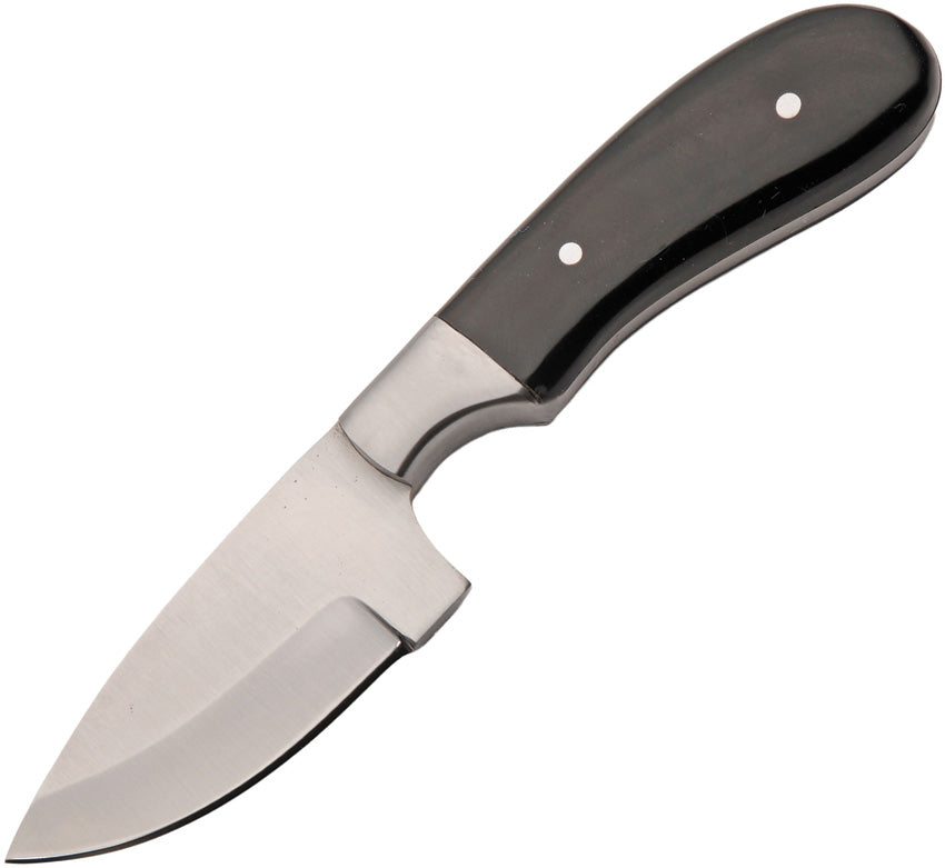 Creg Skinner 203546