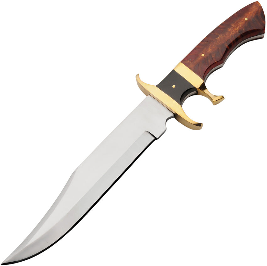Terra Bowie