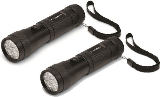 Two Pack Flashlight