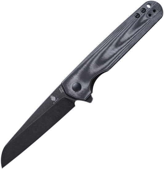 Kizer Cutlery LP Linerlock Black V3610C1