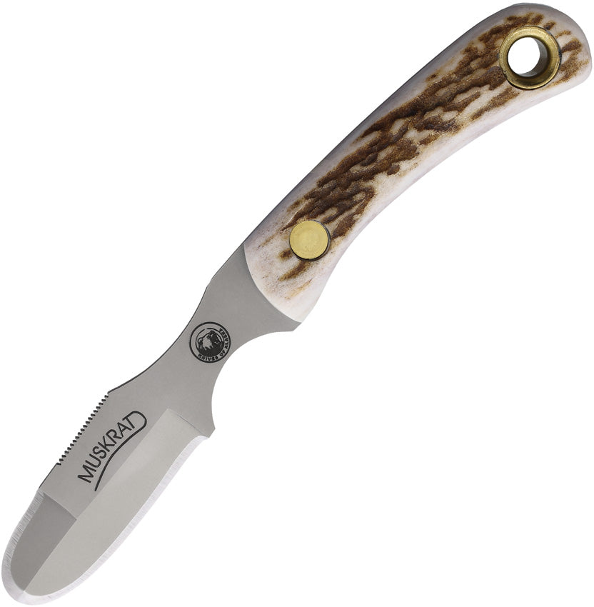 Muskrat Stag Bone S30V