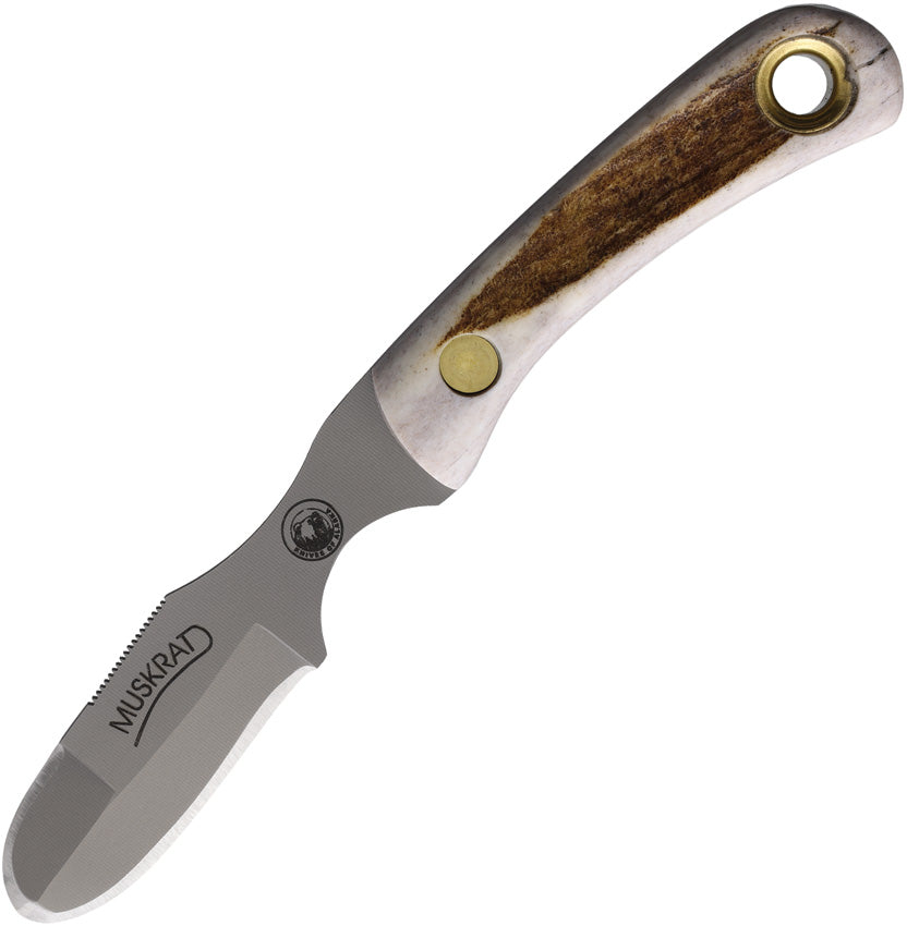 Muskrat Stag 00091FG