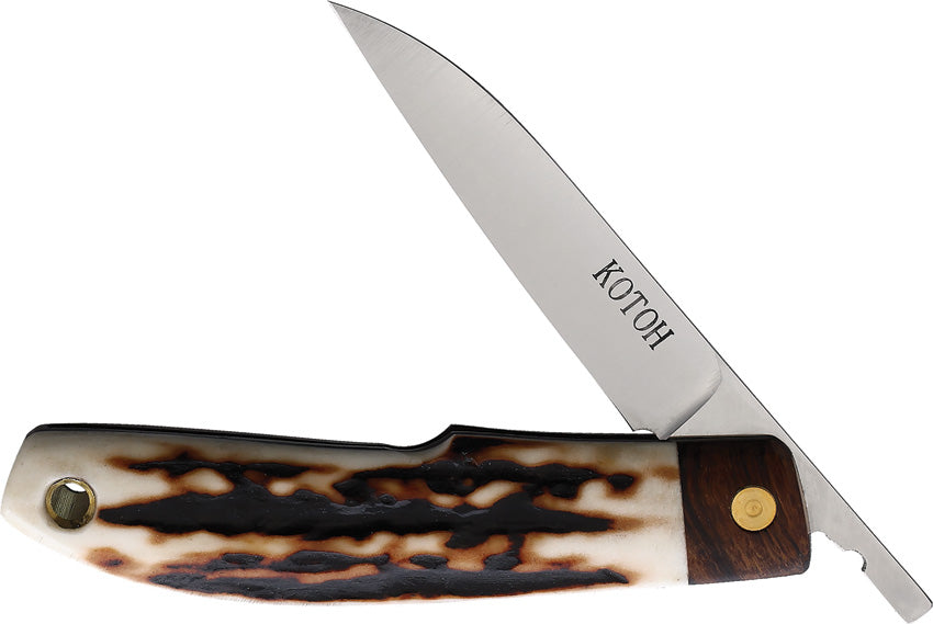 Folder Stag D2 KOTOH422521