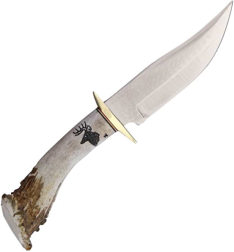 6in Bowie
