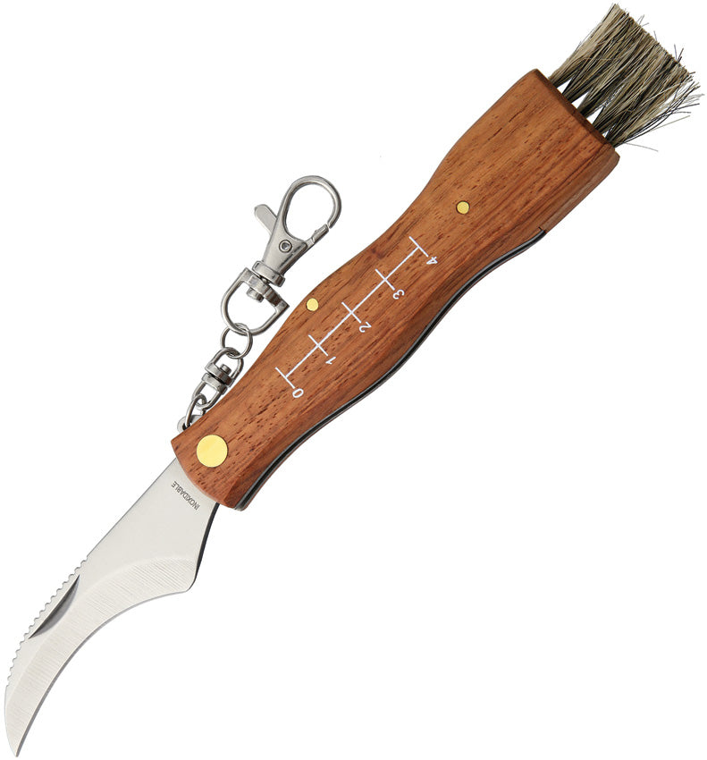 Mushroom Knife