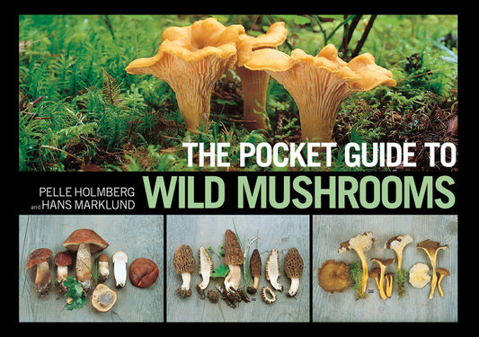 Pocket Guide To Wild Mushrooms 978-1-62087-731-9