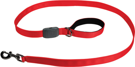 Nitedog Rechargeable Leash NDLR-10-R3