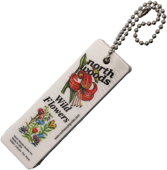 Wildflower Field Guide
