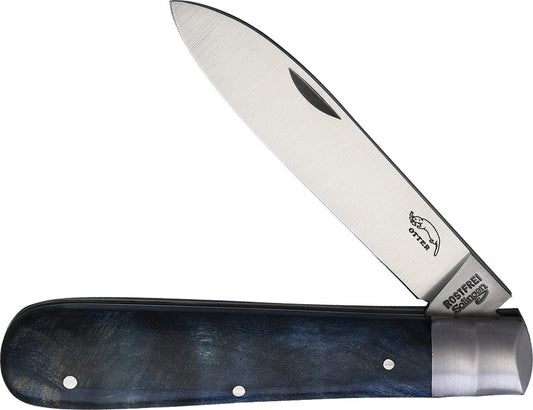 Draco Folder SS