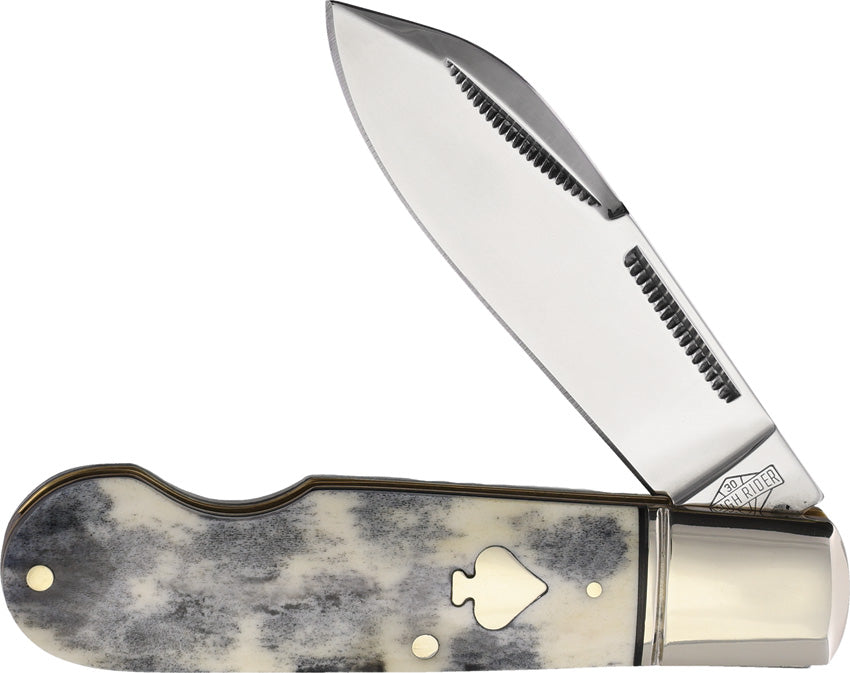 Easy Open Folder Blk Appaloosa RR2486 KB165