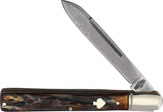 Doctor Cinnamon Bone Damascus