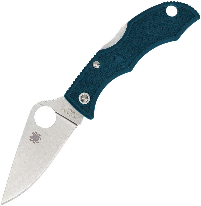 Ladybug Lockback Blue LFP3K390