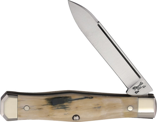 Lexingtonian Folder Mammoth