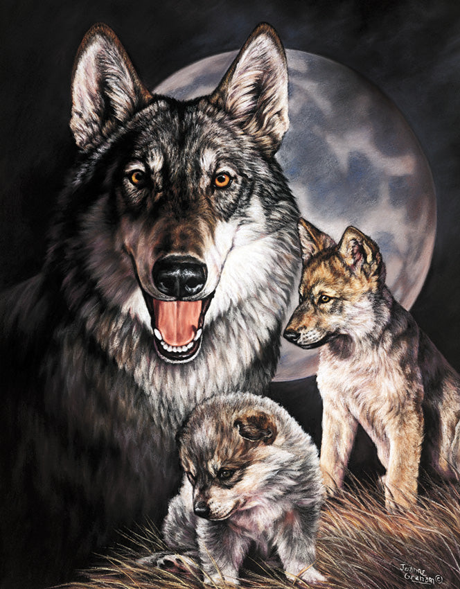 Graham Wolf Experience 0914