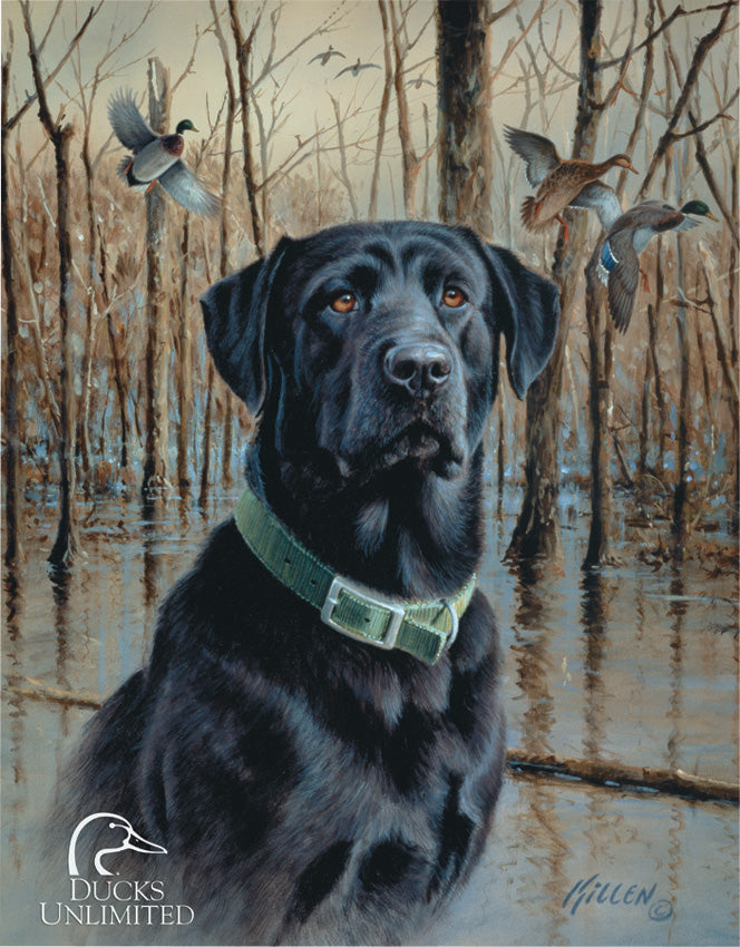 Ducks Unlimited