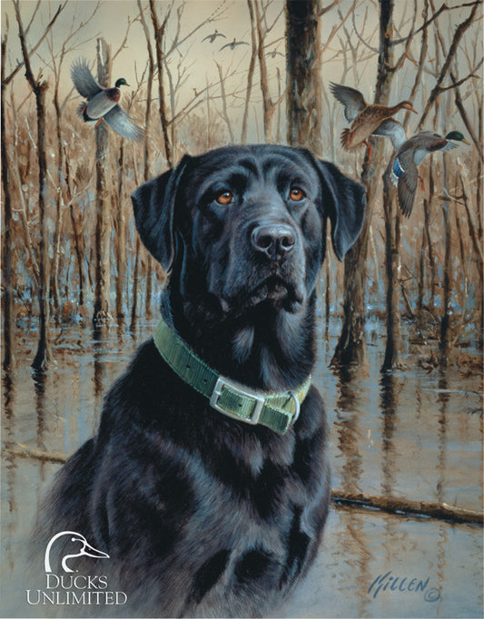 Ducks Unlimited