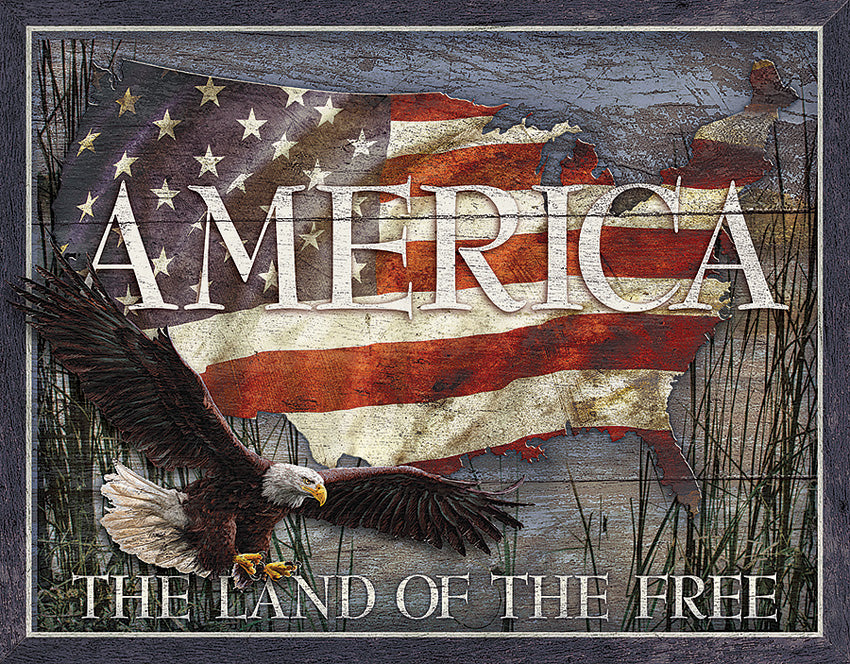 America Land of Free