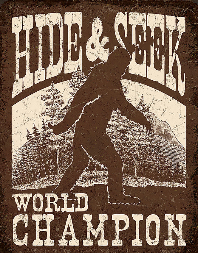 Bigfoot Hide & Seek 2290