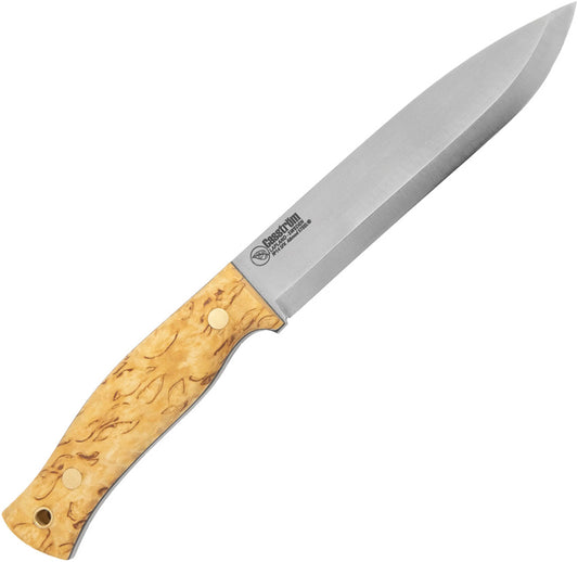 No 14 SFK Curly Birch